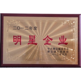 榮(rong)譽證(zheng)書